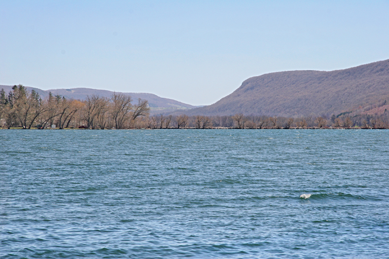 Otisco Lake